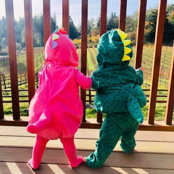 carters pink dragon costume